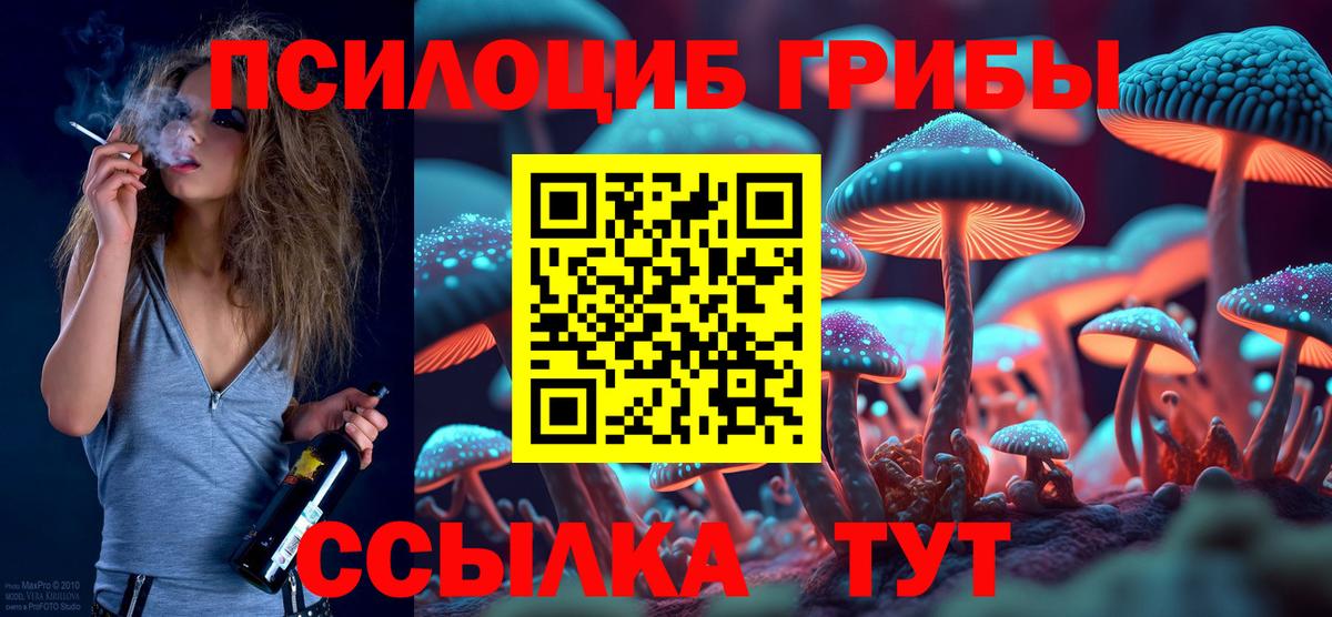 Псилоцибиновые грибы прущие грибы  Вход с VPN  Псилоцибиновые грибы Psilocybine cubensis  Добрянка 