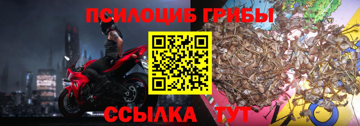 Галлюциногенные грибы Cubensis Добрянка